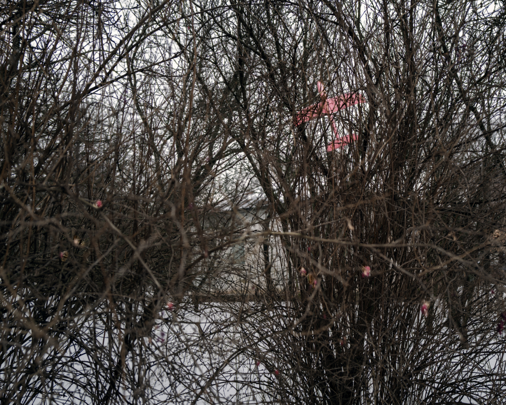 SOROCHINSKI L1020204