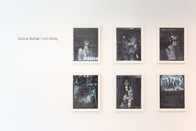 Anatomy of Loss Install 019