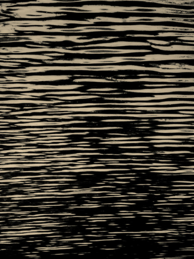 Francisco Gonzalez Camacho Elsewhere 14
