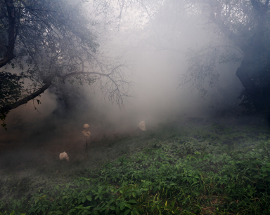 SOROCHINSKI L1040517