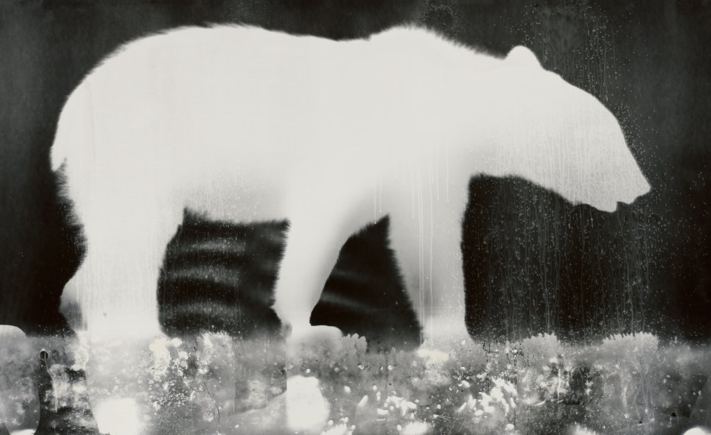 Bearogram 2 Bearable 2019 52 ⅜ X 84 ¼